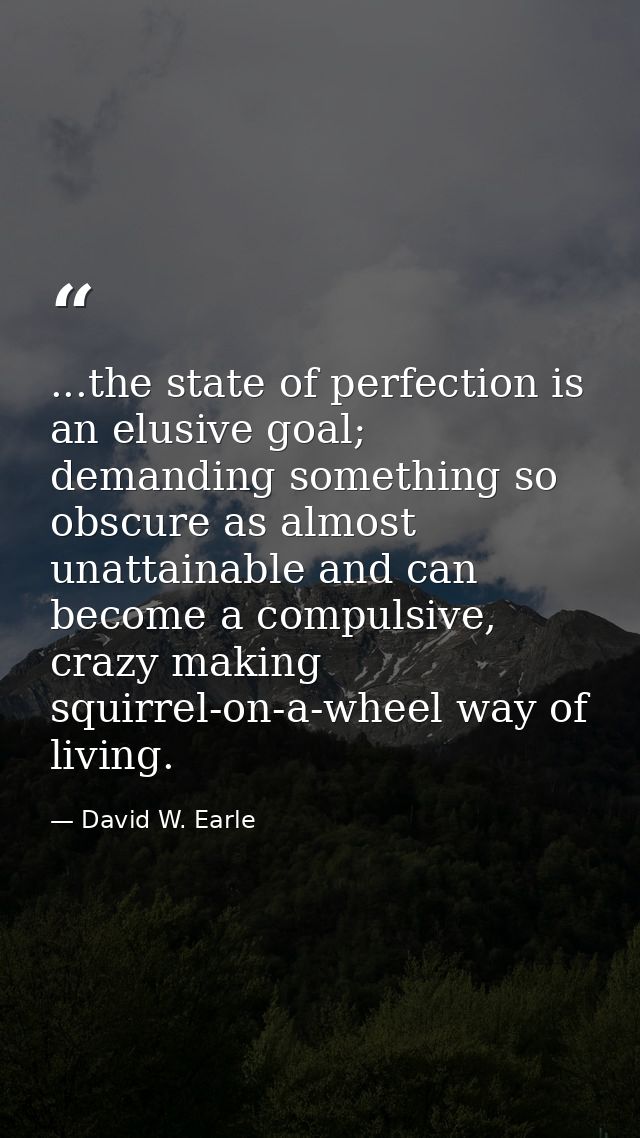...the state of perfection is an elusive goal; demanding something so obscure as almost unattainable and can become a co — David W. Earle