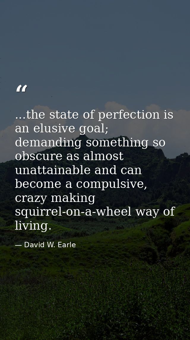 ...the state of perfection is an elusive goal; demanding something so obscure as almost unattainable and can become a co — David W. Earle