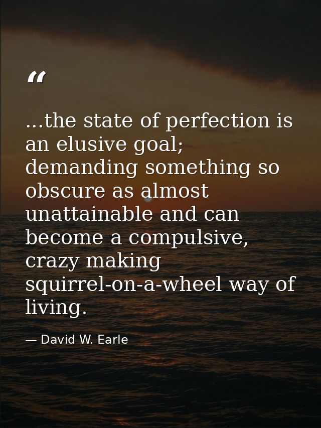 ...the state of perfection is an elusive goal; demanding something so obscure as almost unattainable and can become a co — David W. Earle