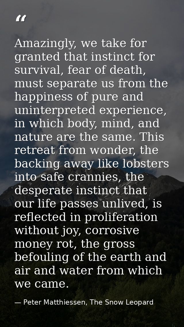 Amazingly, we take for granted that instinct for survival, fear of death, must separate us from the happiness of pure an — Peter Matthiessen, The Snow Leopard