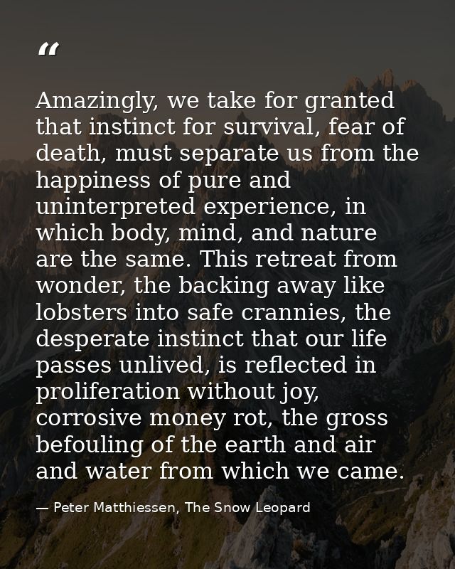 Amazingly, we take for granted that instinct for survival, fear of death, must separate us from the happiness of pure an — Peter Matthiessen, The Snow Leopard