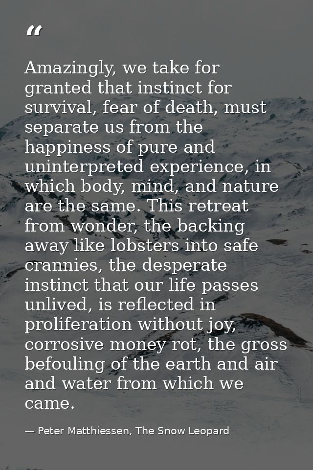 Amazingly, we take for granted that instinct for survival, fear of death, must separate us from the happiness of pure an — Peter Matthiessen, The Snow Leopard