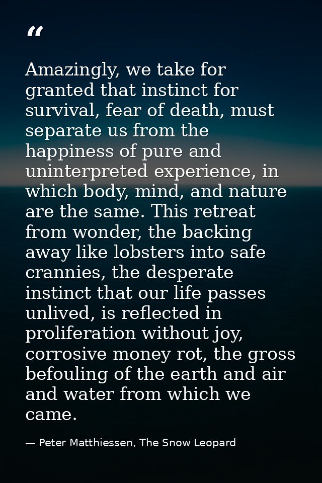 Amazingly, we take for granted that instinct for survival, fear of death, must separate us from the happiness of pure an — Peter Matthiessen, The Snow Leopard