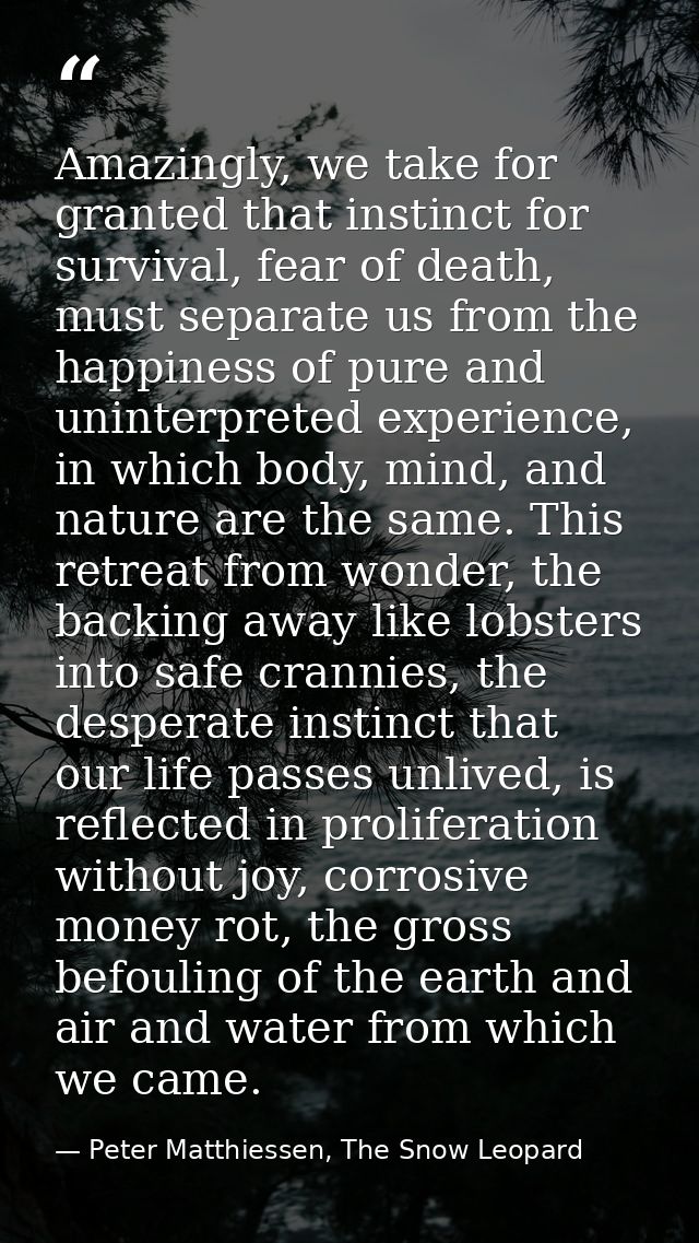 Amazingly, we take for granted that instinct for survival, fear of death, must separate us from the happiness of pure an — Peter Matthiessen, The Snow Leopard