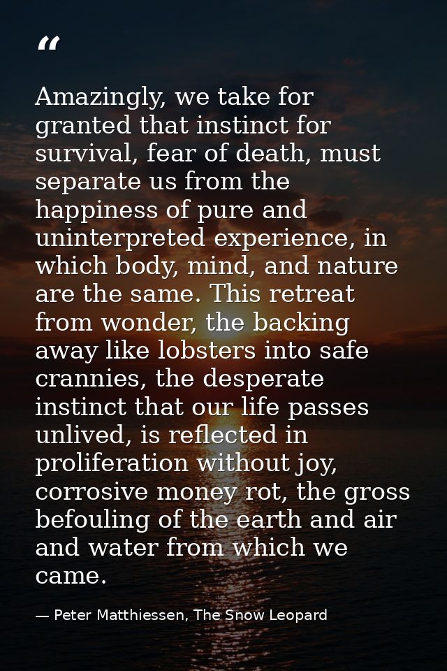 Amazingly, we take for granted that instinct for survival, fear of death, must separate us from the happiness of pure an — Peter Matthiessen, The Snow Leopard
