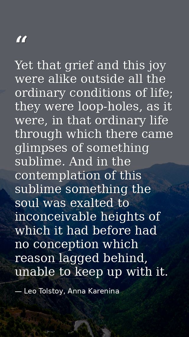 Yet that grief and this joy were alike outside all the ordinary conditions of life; they were loop-holes, as it were, in — Leo Tolstoy, Anna Karenina