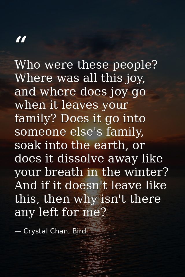 Who were these people? Where was all this joy, and where does joy go when it leaves your family? Does it go into someone — Crystal Chan, Bird