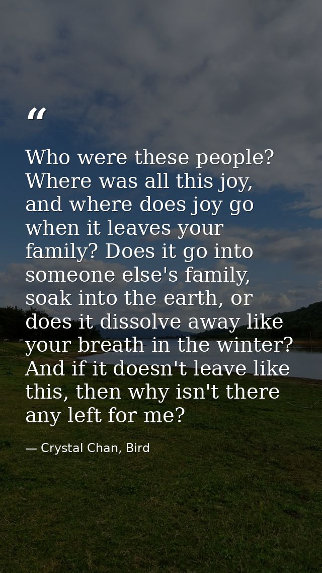 Who were these people? Where was all this joy, and where does joy go when it leaves your family? Does it go into someone — Crystal Chan, Bird