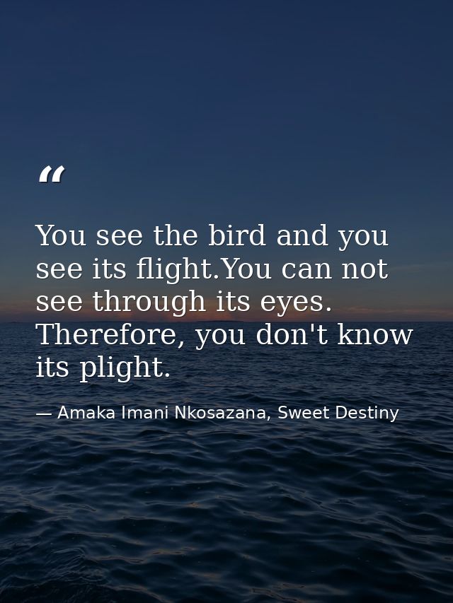 You see the bird and you see its flight.You can not see through its eyes. Therefore, you don't know its plight. — Amaka Imani Nkosazana, Sweet Destiny
