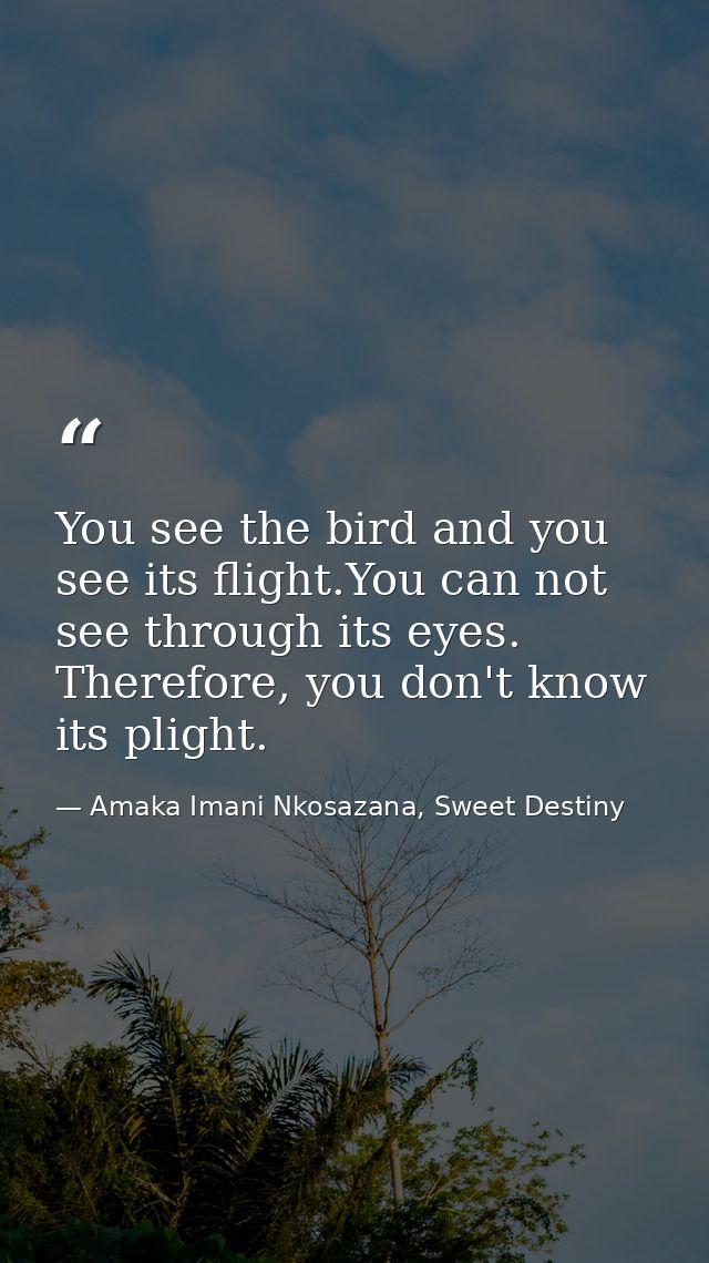 You see the bird and you see its flight.You can not see through its eyes. Therefore, you don't know its plight. — Amaka Imani Nkosazana, Sweet Destiny