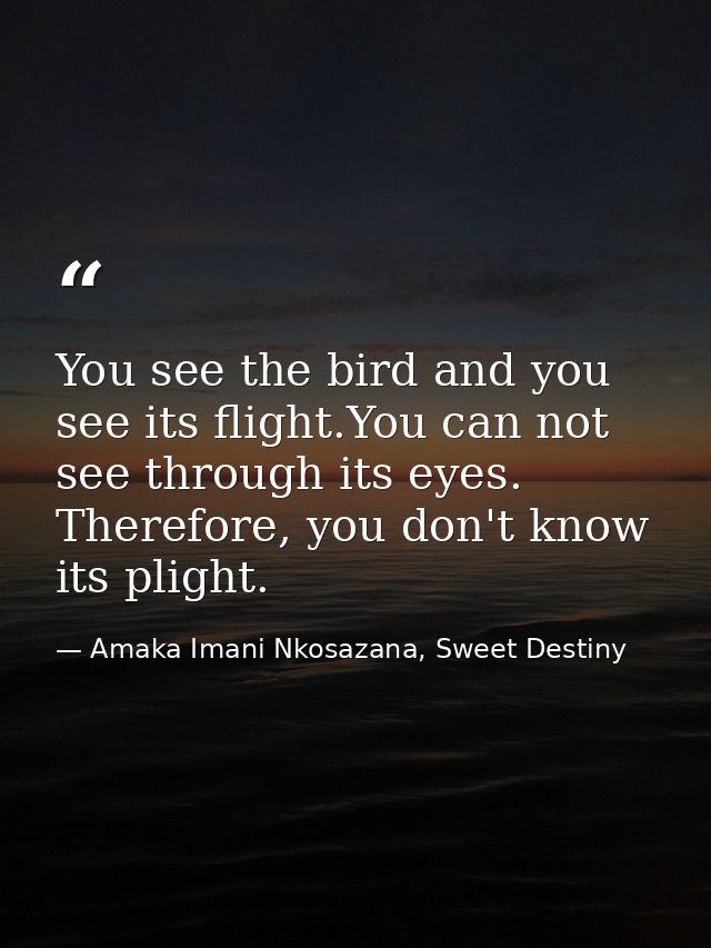You see the bird and you see its flight.You can not see through its eyes. Therefore, you don't know its plight. — Amaka Imani Nkosazana, Sweet Destiny