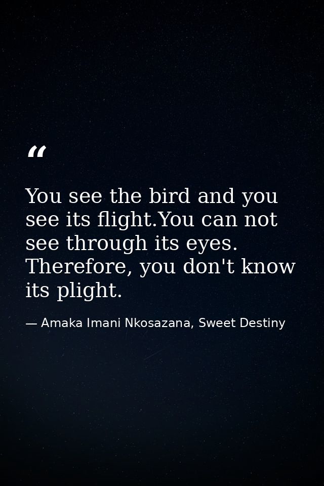 You see the bird and you see its flight.You can not see through its eyes. Therefore, you don't know its plight. — Amaka Imani Nkosazana, Sweet Destiny