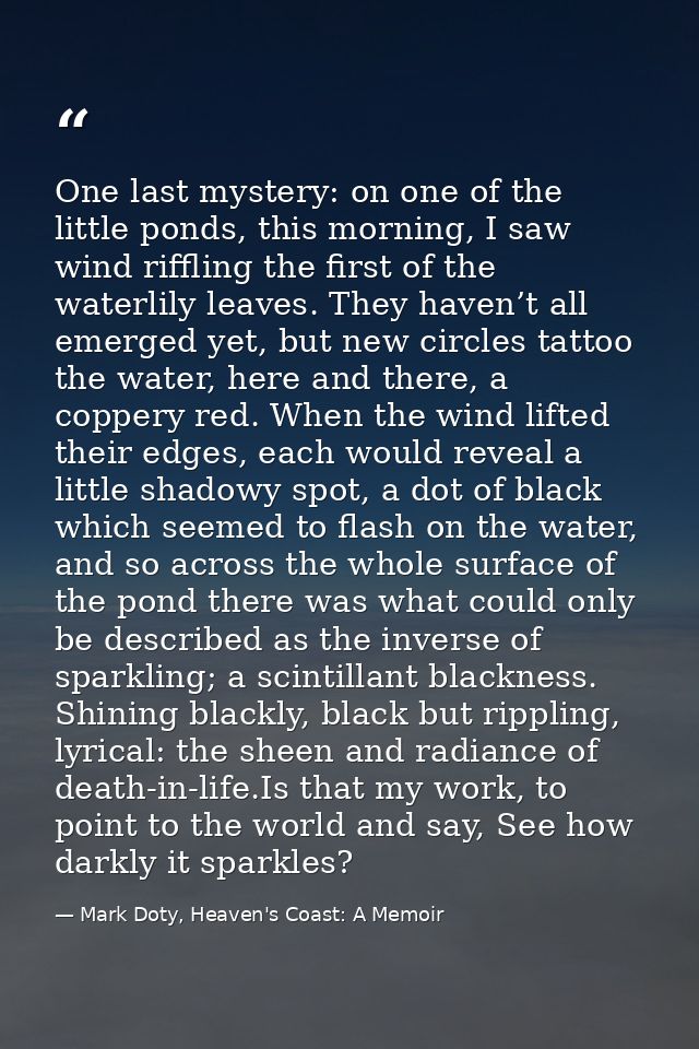 One last mystery: on one of the little ponds, this morning, I saw wind riffling the first of the waterlily leaves. They  — Mark Doty, Heaven's Coast: A Memoir