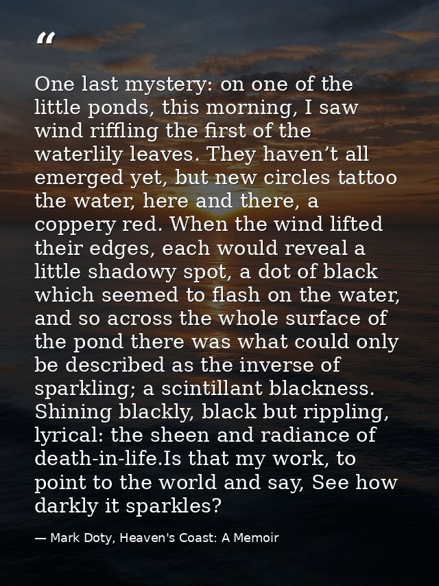 One last mystery: on one of the little ponds, this morning, I saw wind riffling the first of the waterlily leaves. They  — Mark Doty, Heaven's Coast: A Memoir