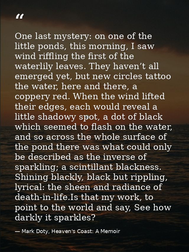 One last mystery: on one of the little ponds, this morning, I saw wind riffling the first of the waterlily leaves. They  — Mark Doty, Heaven's Coast: A Memoir