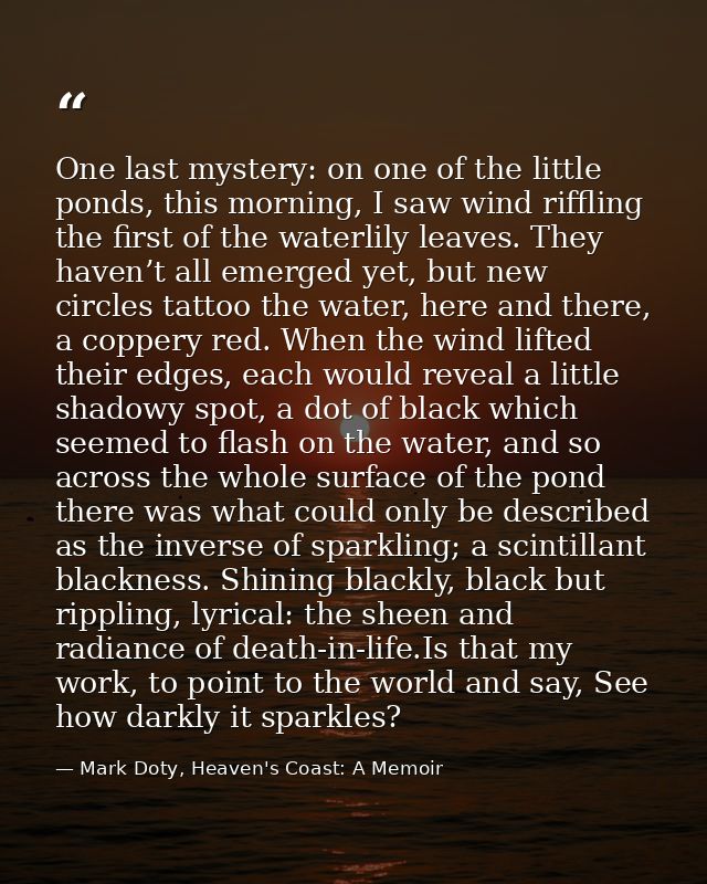 One last mystery: on one of the little ponds, this morning, I saw wind riffling the first of the waterlily leaves. They  — Mark Doty, Heaven's Coast: A Memoir