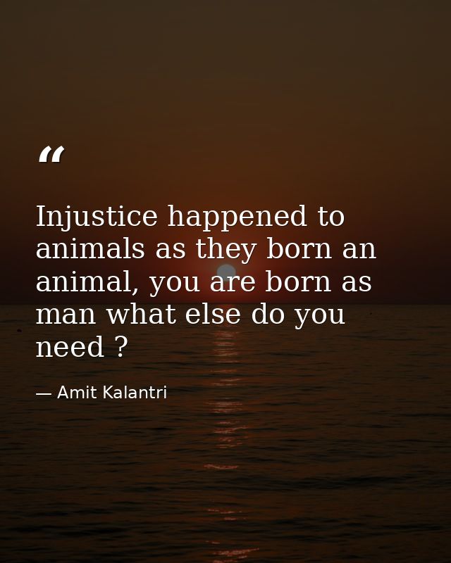 Injustice happened to animals as they born an animal, you are born as man what else do you need ? — Amit Kalantri