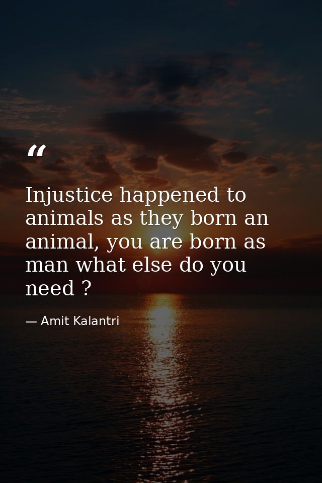 Injustice happened to animals as they born an animal, you are born as man what else do you need ? — Amit Kalantri