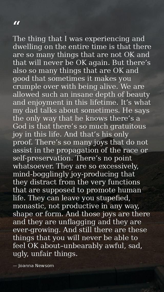 The thing that I was experiencing and dwelling on the entire time is that there are so many things that are not OK and t — Joanna Newsom