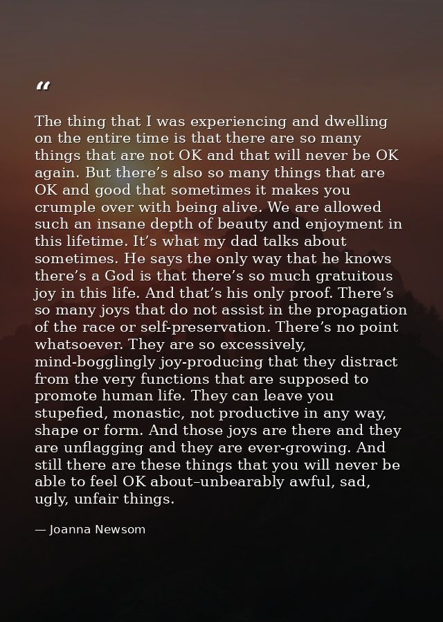 The thing that I was experiencing and dwelling on the entire time is that there are so many things that are not OK and t — Joanna Newsom