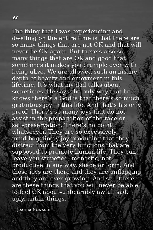 The thing that I was experiencing and dwelling on the entire time is that there are so many things that are not OK and t — Joanna Newsom