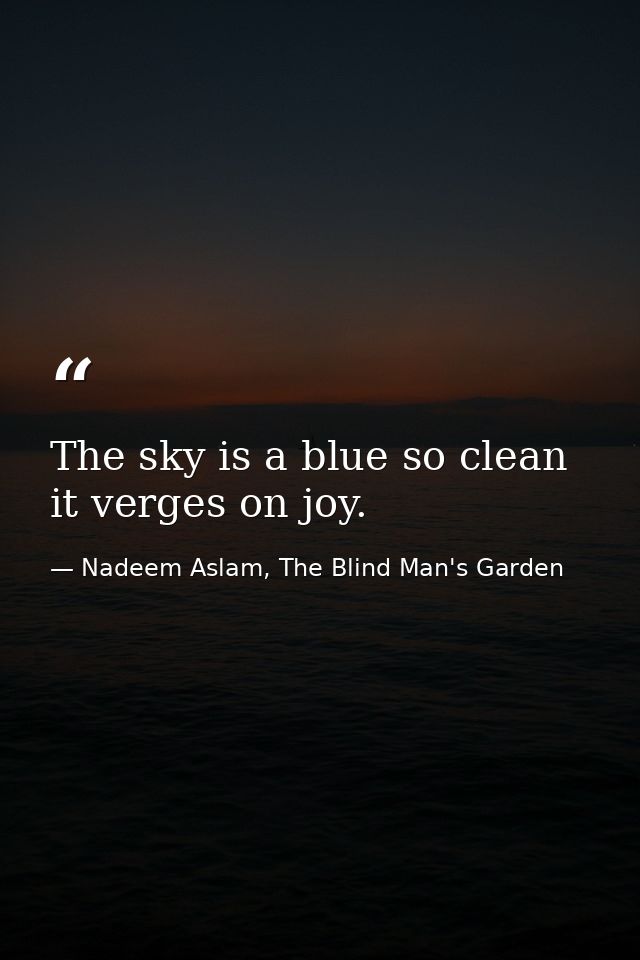 The sky is a blue so clean it verges on joy. — Nadeem Aslam, The Blind Man's Garden