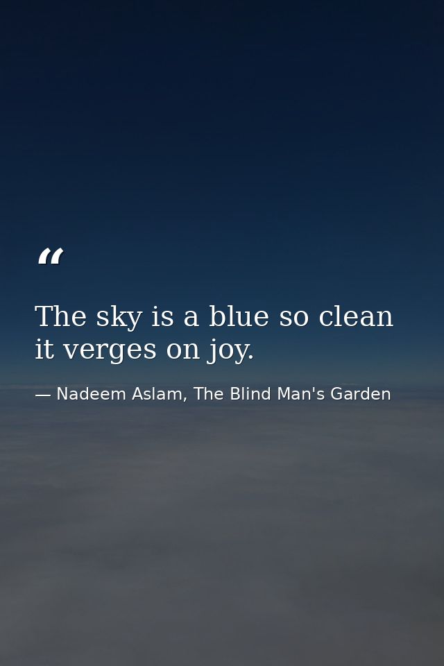 The sky is a blue so clean it verges on joy. — Nadeem Aslam, The Blind Man's Garden