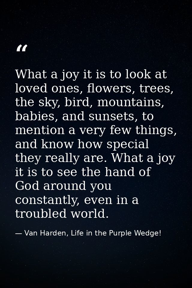 What a joy it is to look at loved ones, flowers, trees, the sky, bird, mountains, babies, and sunsets, to mention a very — Van Harden, Life in the Purple Wedge!