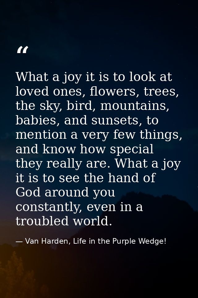 What a joy it is to look at loved ones, flowers, trees, the sky, bird, mountains, babies, and sunsets, to mention a very — Van Harden, Life in the Purple Wedge!