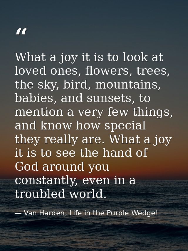 What a joy it is to look at loved ones, flowers, trees, the sky, bird, mountains, babies, and sunsets, to mention a very — Van Harden, Life in the Purple Wedge!