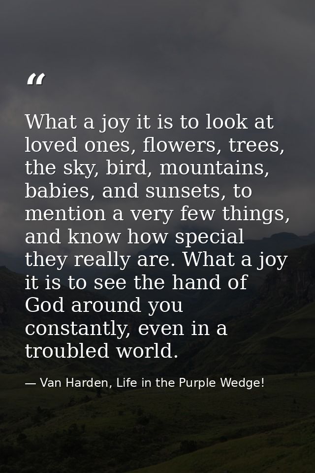 What a joy it is to look at loved ones, flowers, trees, the sky, bird, mountains, babies, and sunsets, to mention a very — Van Harden, Life in the Purple Wedge!