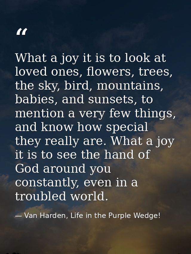 What a joy it is to look at loved ones, flowers, trees, the sky, bird, mountains, babies, and sunsets, to mention a very — Van Harden, Life in the Purple Wedge!