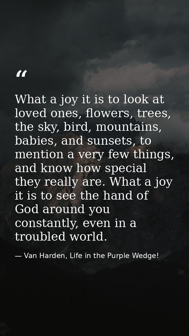 What a joy it is to look at loved ones, flowers, trees, the sky, bird, mountains, babies, and sunsets, to mention a very — Van Harden, Life in the Purple Wedge!