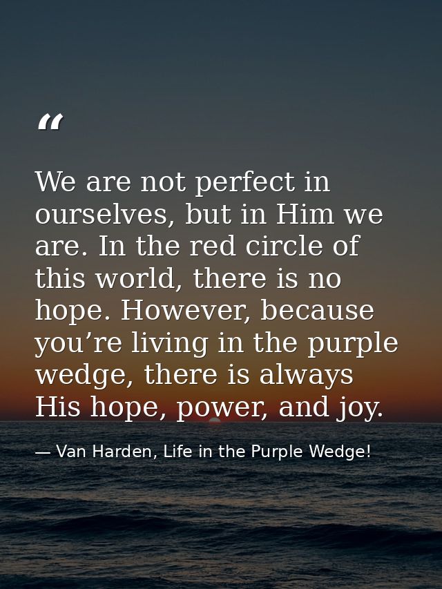 We are not perfect in ourselves, but in Him we are. In the red circle of this world, there is no hope. However, because  — Van Harden, Life in the Purple Wedge!