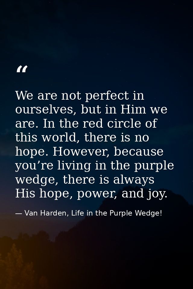 We are not perfect in ourselves, but in Him we are. In the red circle of this world, there is no hope. However, because  — Van Harden, Life in the Purple Wedge!