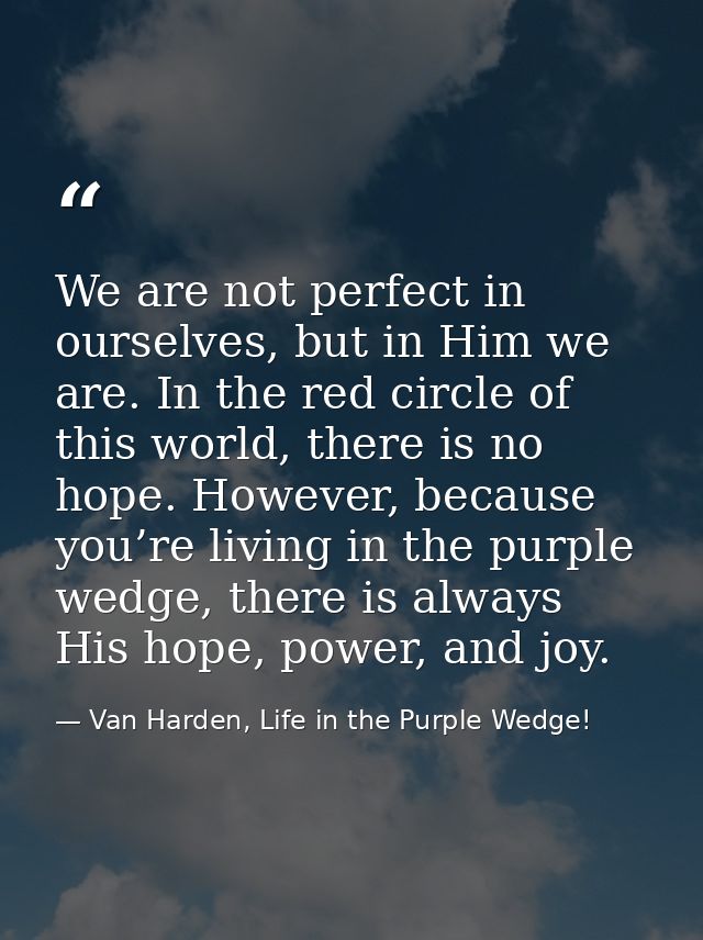 We are not perfect in ourselves, but in Him we are. In the red circle of this world, there is no hope. However, because  — Van Harden, Life in the Purple Wedge!