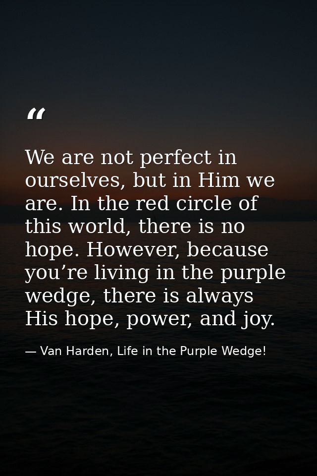 We are not perfect in ourselves, but in Him we are. In the red circle of this world, there is no hope. However, because  — Van Harden, Life in the Purple Wedge!