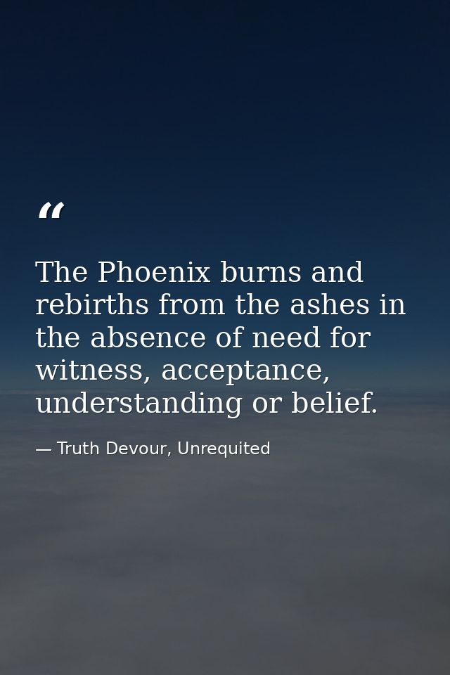 The Phoenix burns and rebirths from the ashes in the absence of need for witness, acceptance, understanding or belief. — Truth Devour, Unrequited