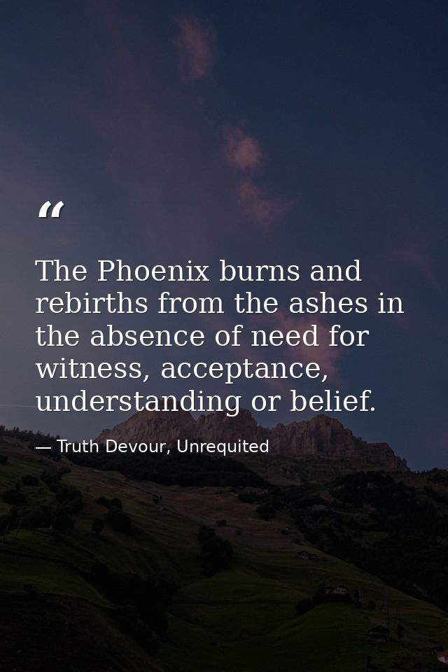 The Phoenix burns and rebirths from the ashes in the absence of need for witness, acceptance, understanding or belief. — Truth Devour, Unrequited