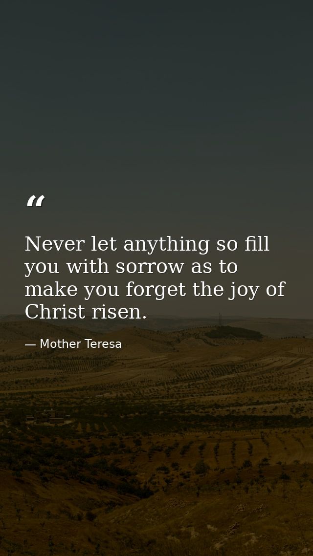 Never let anything so fill you with sorrow as to make you forget the joy of Christ risen. — Mother Teresa