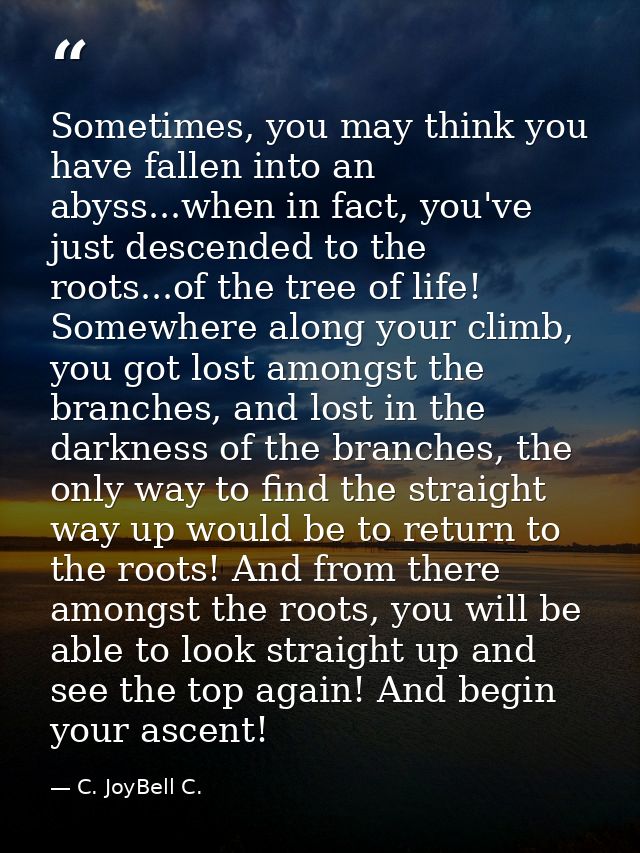 Sometimes, you may think you have fallen into an abyss...when in fact, you've just descended to the roots...of the tree  — C. JoyBell C.