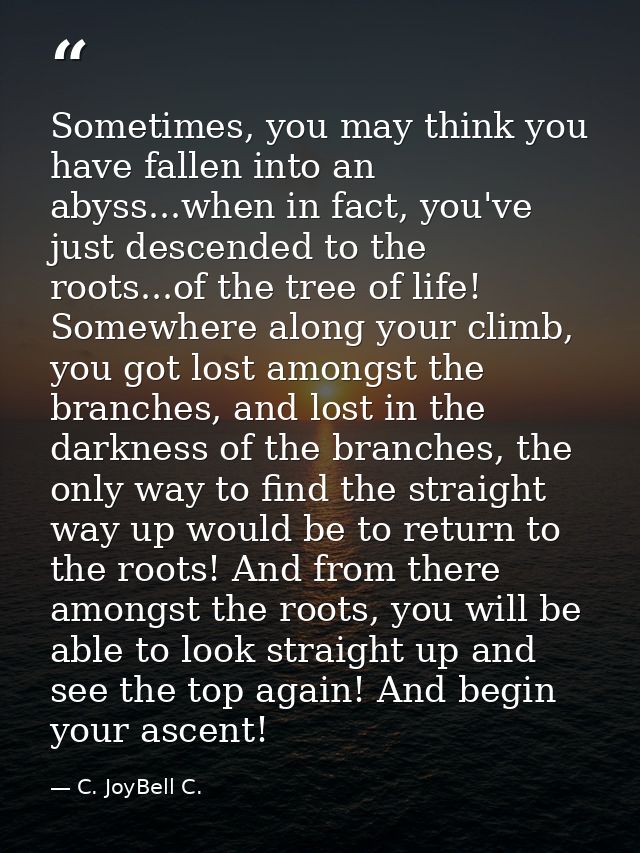 Sometimes, you may think you have fallen into an abyss...when in fact, you've just descended to the roots...of the tree  — C. JoyBell C.