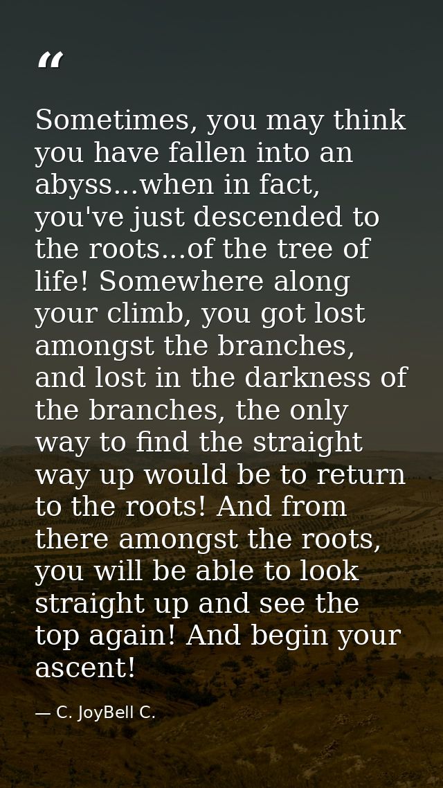 Sometimes, you may think you have fallen into an abyss...when in fact, you've just descended to the roots...of the tree  — C. JoyBell C.
