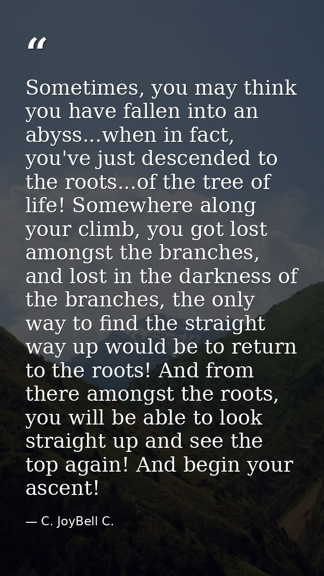 Sometimes, you may think you have fallen into an abyss...when in fact, you've just descended to the roots...of the tree  — C. JoyBell C.