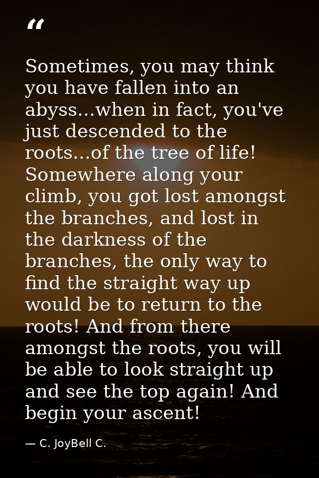 Sometimes, you may think you have fallen into an abyss...when in fact, you've just descended to the roots...of the tree  — C. JoyBell C.