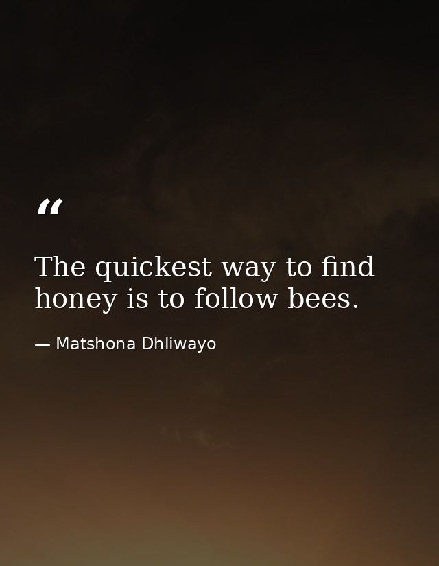 The quickest way to find honey is to follow bees. — Matshona Dhliwayo
