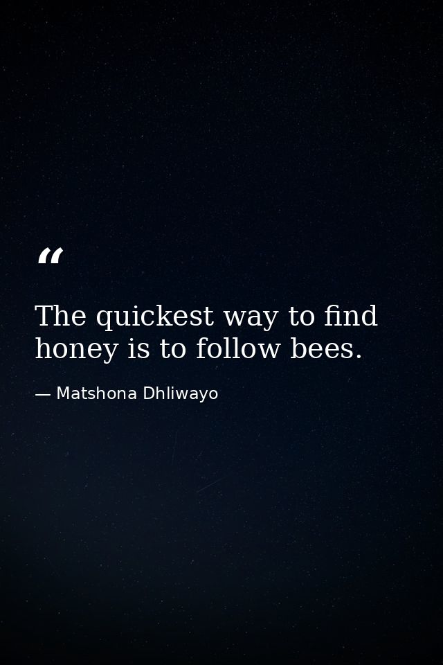 The quickest way to find honey is to follow bees. — Matshona Dhliwayo