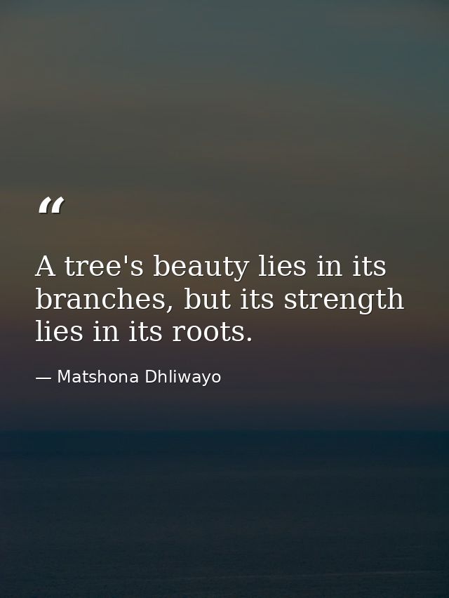 A tree's beauty lies in its branches, but its strength lies in its roots. — Matshona Dhliwayo