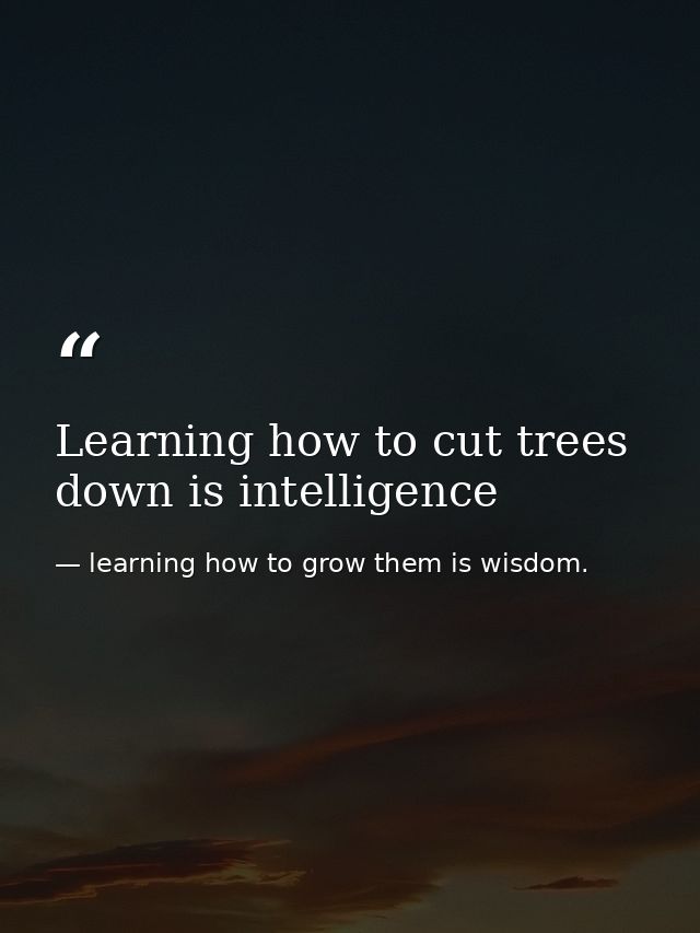 Learning how to cut trees down is intelligence — learning how to grow them is wisdom.