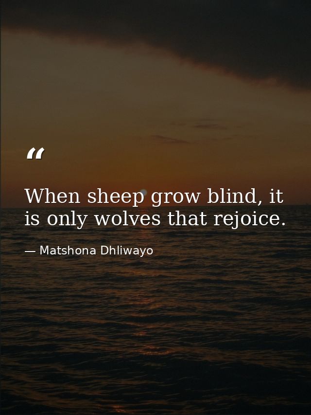 When sheep grow blind, it is only wolves that rejoice. — Matshona Dhliwayo